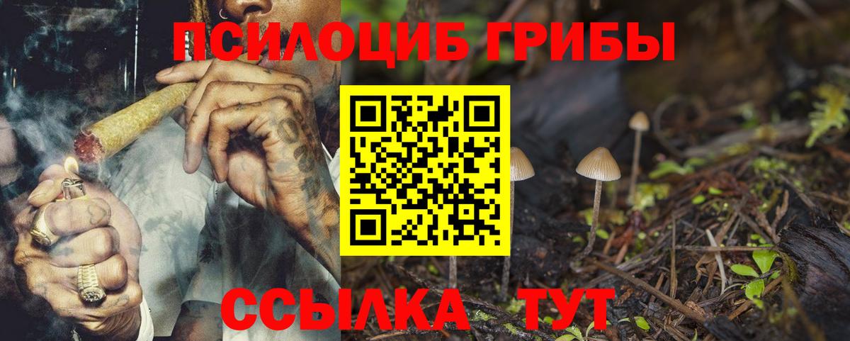 Ахтубинск  цена наркотик  Вход с VPN  Псилоцибиновые грибы Psilocybe 